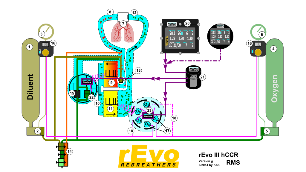 rEvo hCCR