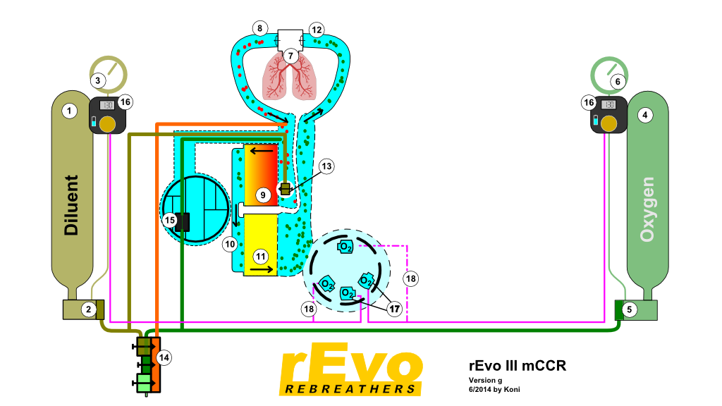 rEvo mCCR